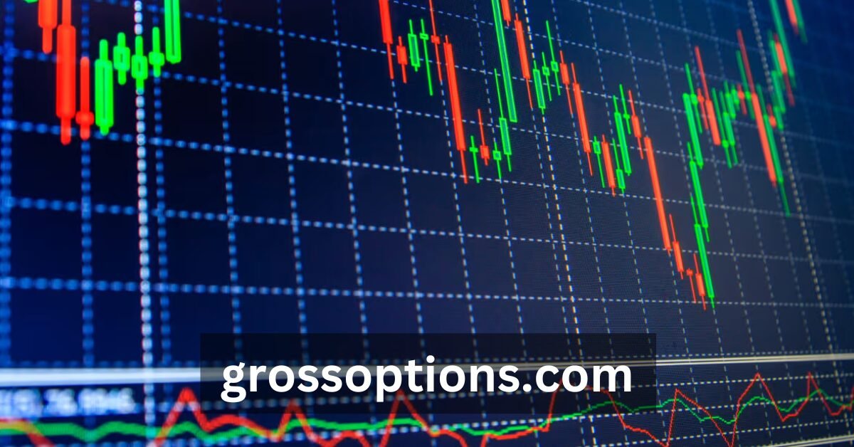 grossoptions.com