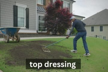 top dressing