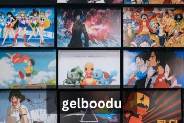 gelboodu